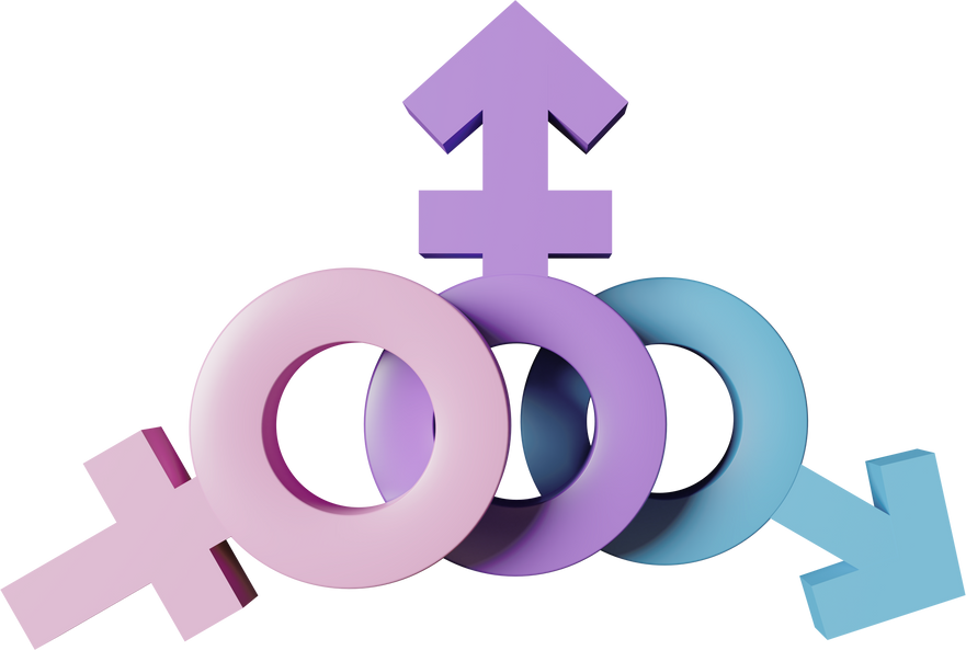3D Gender Equality Icon